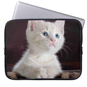 Funda Para Portátil Gatito blanco vulnerable