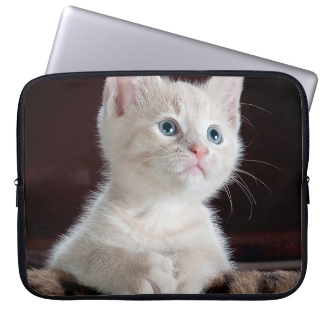 Funda Para Portátil Gatito blanco vulnerable (Frente)