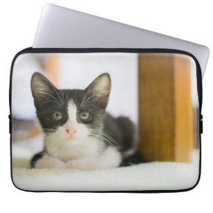 Funda Para Portátil Gatito blanco y negro dulce