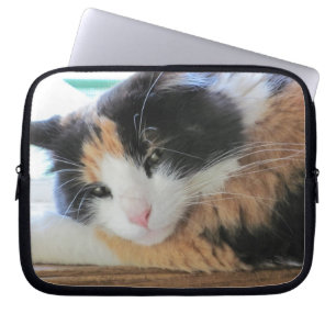 Funda Para Portátil Gatito coqueto del calicó