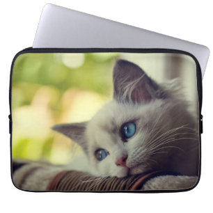 Funda Para Portátil Gatito de Ragdoll