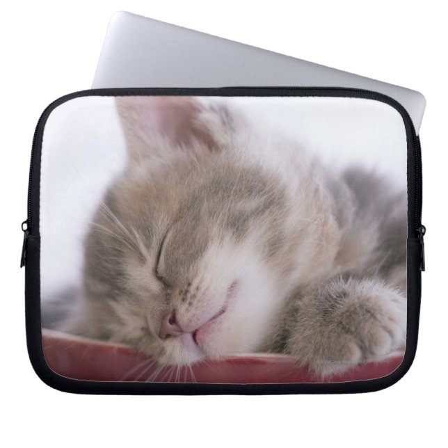Funda Para Portátil Gatito durmiendo en Bowl 2 (Frente)