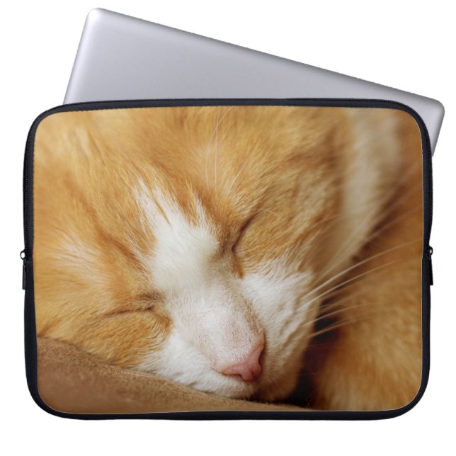 Funda Para Portátil Gatito durmiente (Frente)