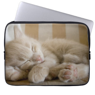 Funda Para Portátil Gatito el dormir
