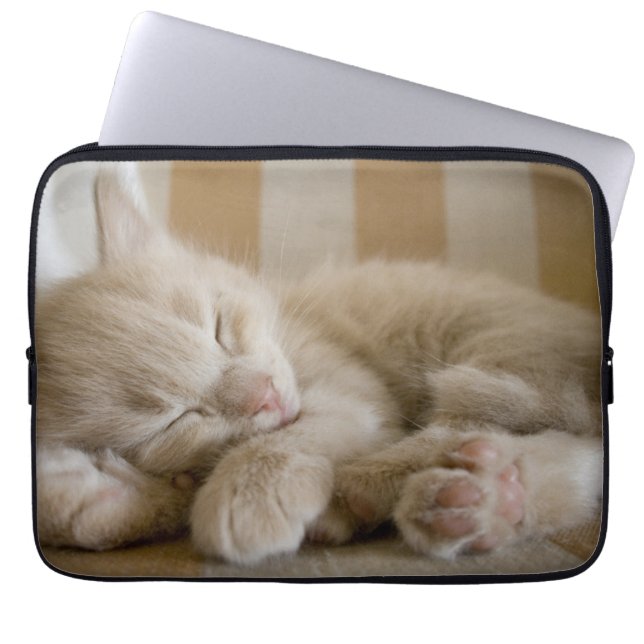 Funda Para Portátil Gatito el dormir (Frente)