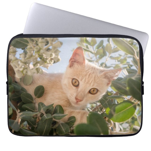 Funda Para Portátil Gatito gato, trepando en un árbol de eucalipto — (Frente)