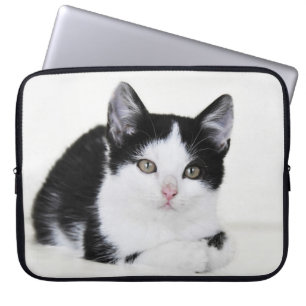 Funda Para Portátil Gatito negro y blanco