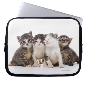 Funda Para Portátil Gatitos dulces