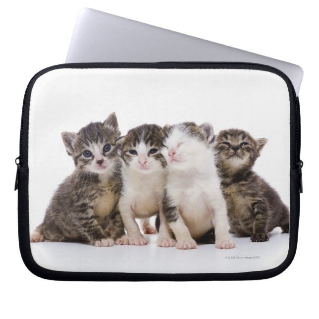 Funda Para Portátil Gatitos dulces (Frente)