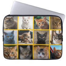 Gatitos por todas partes