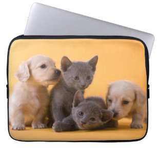 Funda Para Portátil Gatitos y perritos azules rusos del Dachshund