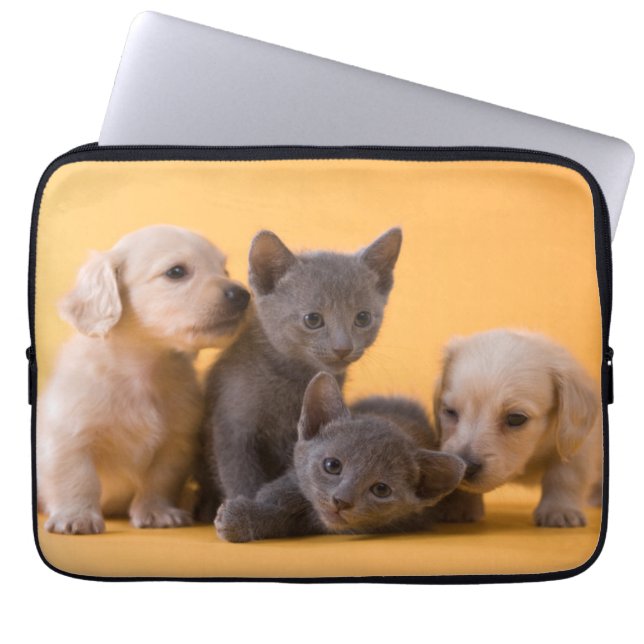 Funda Para Portátil Gatitos y perritos azules rusos del Dachshund (Frente)