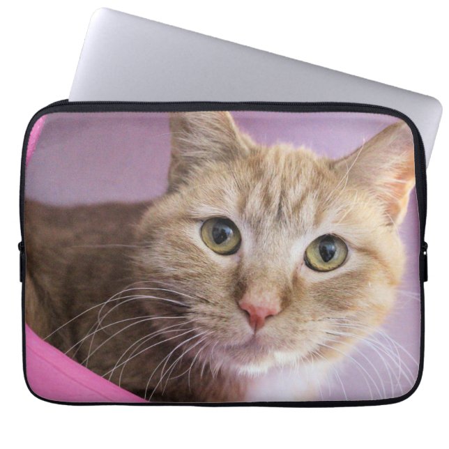 Funda Para Portátil Gato (Frente)