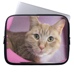 Funda Para Portátil Gato