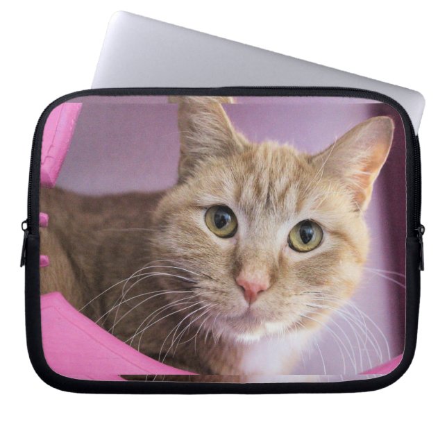 Funda Para Portátil Gato (Frente)