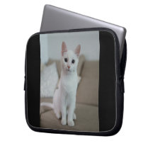Gato blanco | Zazzle_Growshop.