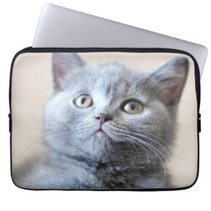 Funda Para Portátil Gato británico gris de Shorthair