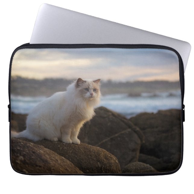 Funda Para Portátil Gato de Ragdoll en la playa (Frente)