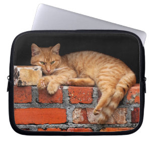 Funda Para Portátil Gato en la pared de ladrillo