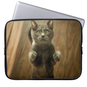 FUNDA PARA PORTÁTIL GATO GRIS EN DOS PIES