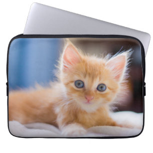 Funda Para Portátil Gato lindo con los ojos azules