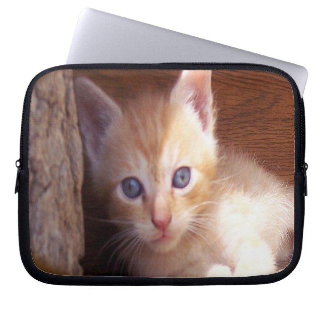 Funda Para Portátil Gatos (Frente)