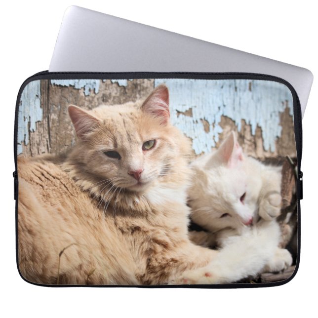 Funda Para Portátil Gatos (Frente)