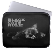 Gatos Negros Mandan - Dormilón Hola Oscuridad