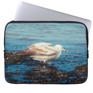Funda Para Portátil Gaviota de arenque P1046