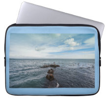 Gaviotas volando sobre las rocas