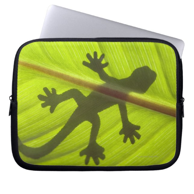 Funda Para Portátil Gecko (Frente)