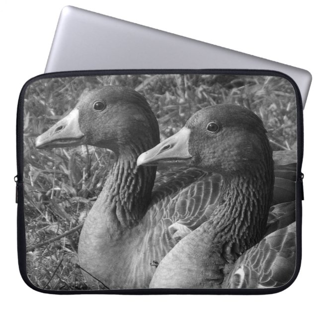Funda Para Portátil Geese de Greylag (B&W) (Frente)