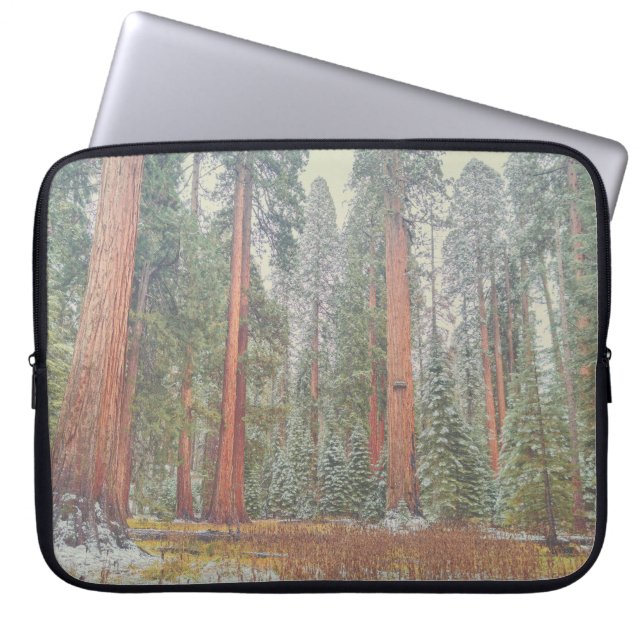 Funda Para Portátil Giant Sequoia Forest Landscape (Frente)