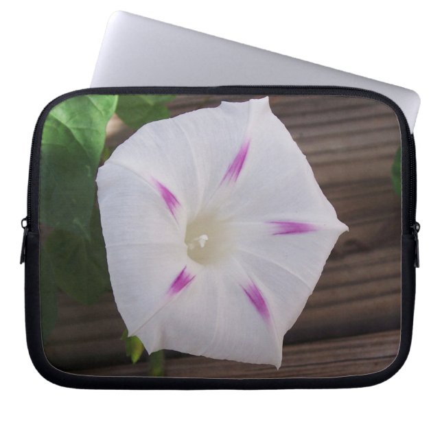 Funda Para Portátil Gloria de la Mañana (Frente)