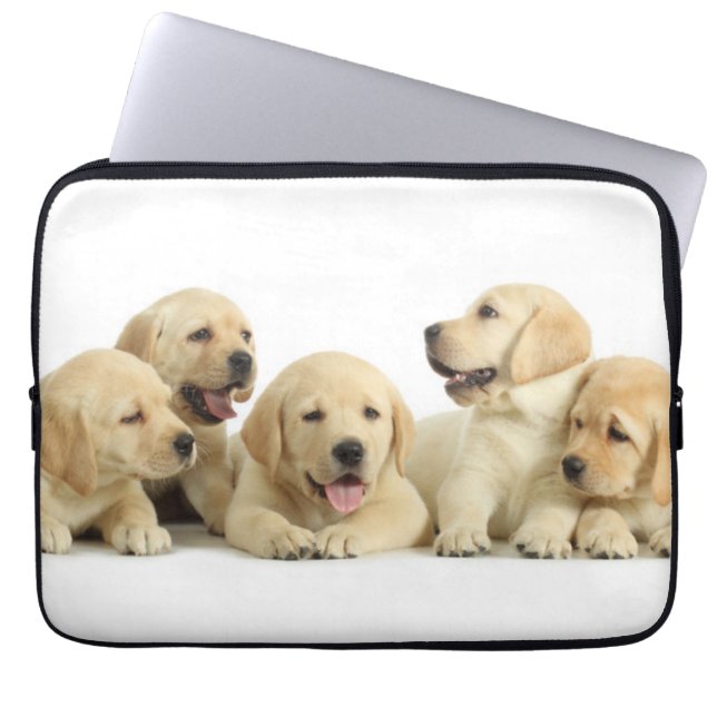 Funda Para Portátil Golden Labrador Puppy Pile (Frente)
