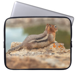 Funda Para Portátil Golden Mantle Squirrel