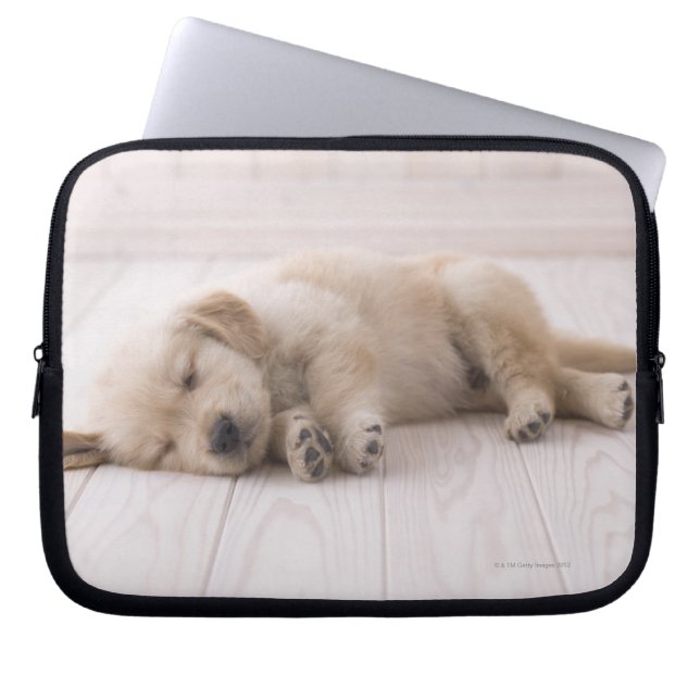 Funda Para Portátil Golden Retriever (Frente)