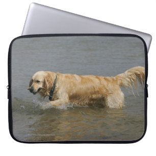 Funda Para Portátil Golden retriever en agua