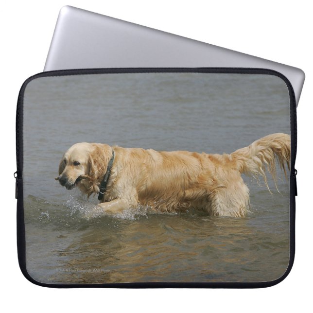 Funda Para Portátil Golden retriever en agua (Frente)
