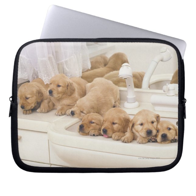 Funda Para Portátil Golden Retriever; es relativamente moderno y 2 (Frente)
