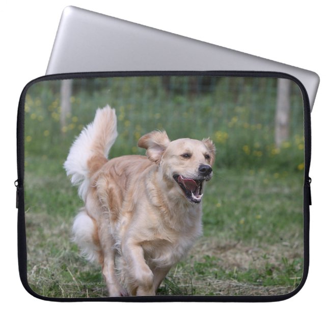 Funda Para Portátil Golden retriever que corre 1 (Frente)
