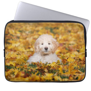 Funda Para Portátil Goldendoodle Cachorro En Hojas Caídas