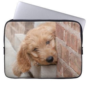 Funda Para Portátil Goldendoodle cachorro picado