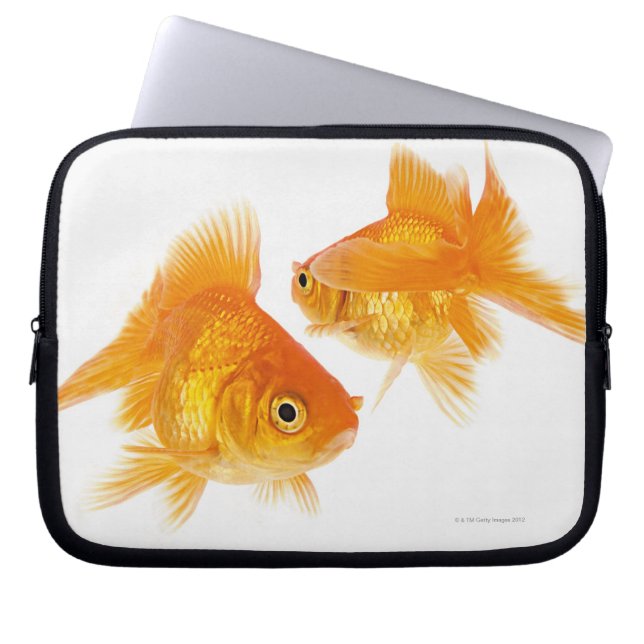 Funda Para Portátil Goldfish dos (Frente)