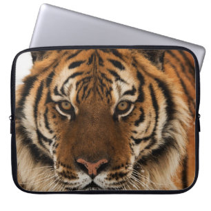 Funda Para Portátil Golpe de cabeza contra tigre siberiano