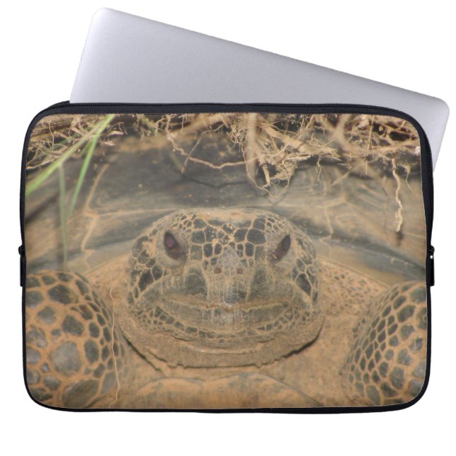 Funda Para Portátil Gopher Tortoise en el Hábitat Natural (Frente)