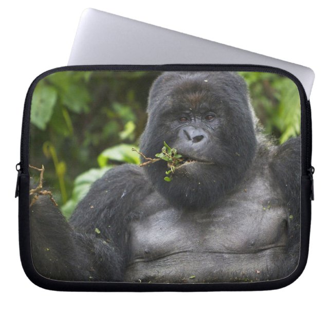 Funda Para Portátil Gorila de montaña y silverback (Frente)