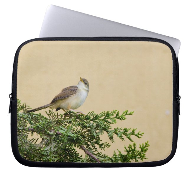 Funda Para Portátil Gorrión (Frente)