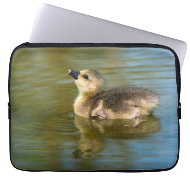 Funda Para Portátil Gosling lindo en el estanque (Frente)