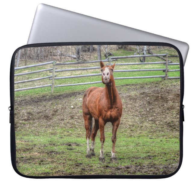 Funda Para Portátil Gracioso Stallion Chestnut Horse Whinning Photo (Frente)
